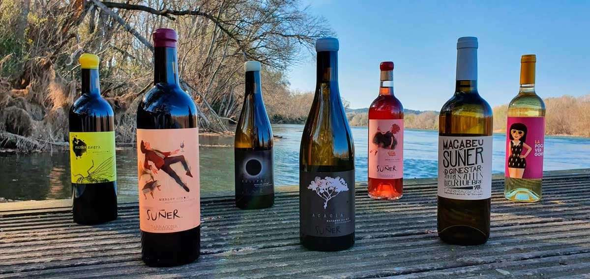 Vins Fotografia dels vins
